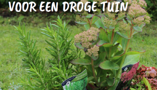 Droge tuin.png