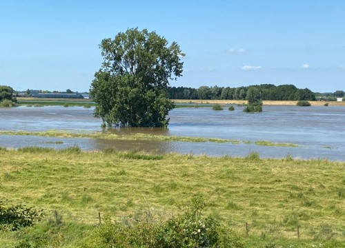 Hoogwater juli 2021 Maas