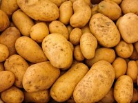 Aardappelen.jpg