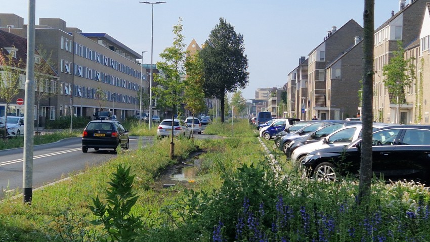 Eindhoven Boschdijk