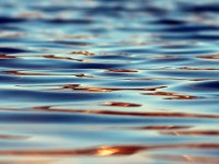 Water.jpg