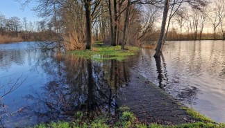 Wateroverlast loopbrug (Stichting CAS, 2023).jpg