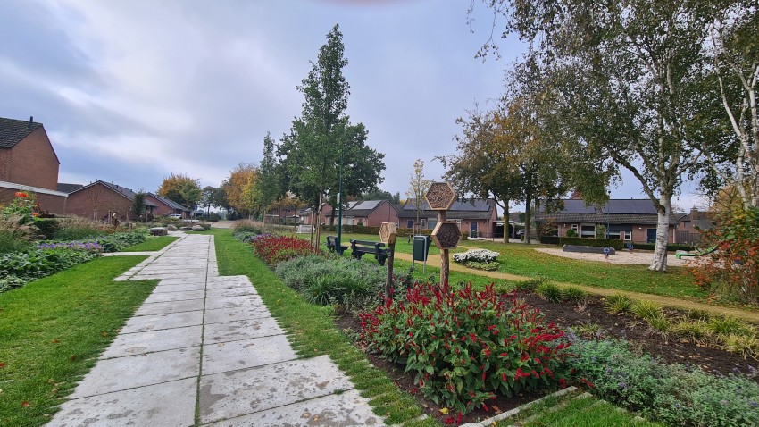 Klimaatbestendige inrichting van de Zichtstraat in Land van Cuijk1