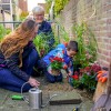 Geveltuin