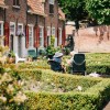 Potentieel groene tuinen_foto Joyce Huis.jpg