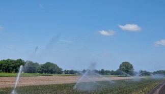 Sproeien boomkwekerij (Stichting CAS, 2025).jpg