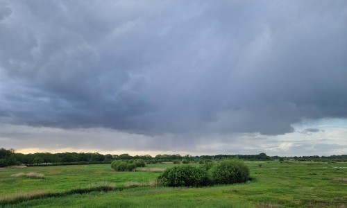 Wolk met bui