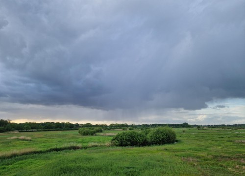 Wolk met bui