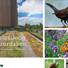 Handreiking Natuurdaken.png
