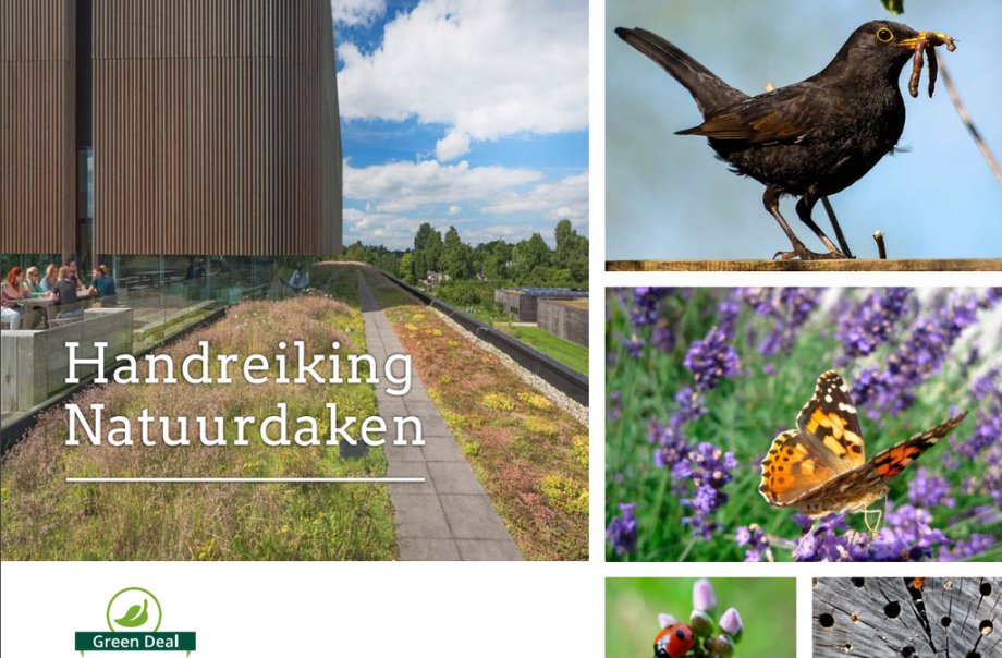 Handreiking Natuurdaken.png