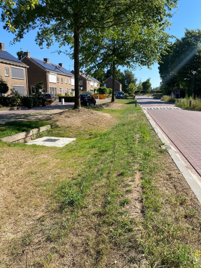 Bocstraat - Wadi
