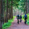 Schaduwkaarten_forest-4366094_1280.jpg