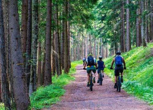 Schaduwkaarten_forest-4366094_1280.jpg