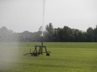 Landbouw - sproeien.jpg