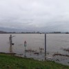 Hoogwater in de Waal (Stichting CAS, 2023).jpg