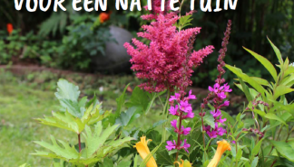 Natte tuin.png