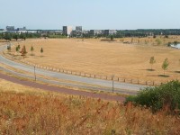 20180725_110227.jpg