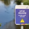 Blauwalg-waterkwaliteit.jpg
