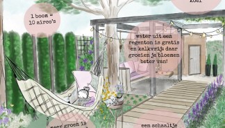 advertentie_houd je hoofd koel deze zomer.jpg