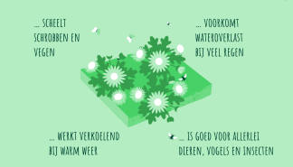 NKtegelwippen_wvgt.png