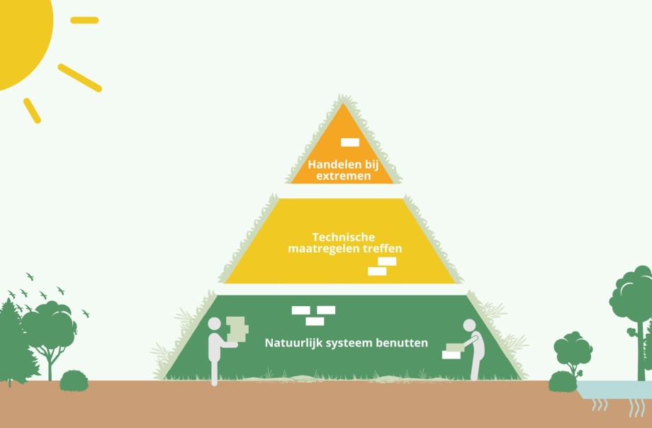 infographic piramide.jpg