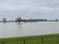 Uiterwaarden aan de Maas, februari 2021