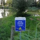 blauwalg1.jpg