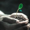 Natuur in eigen hand