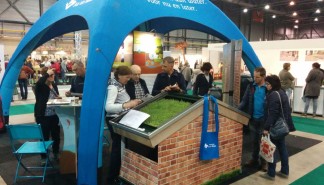 Tuinidee in actie.jpg