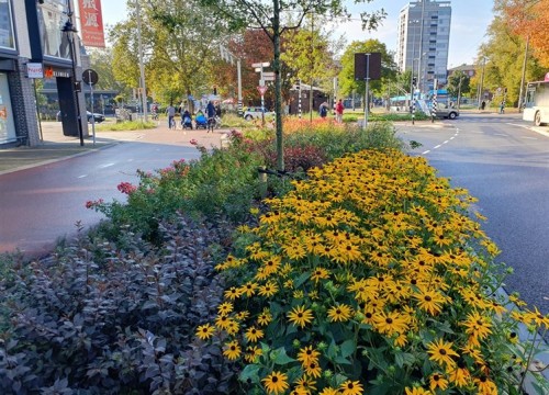 Berm met bloemen