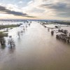 Maas ter hoogte van Blauwe Sluis