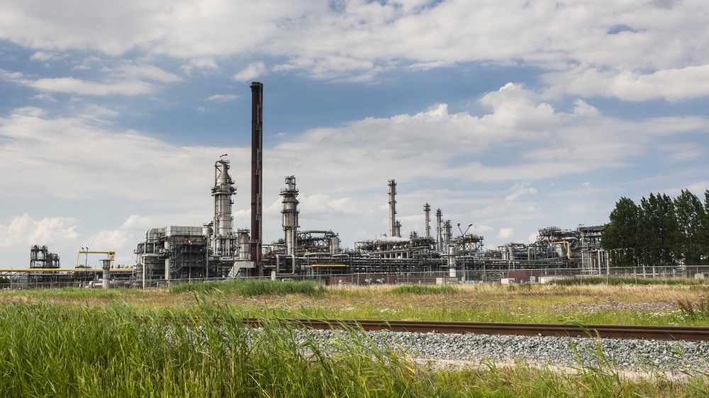 Natuur en klimaatadaptatie in havengebied Moerdijk.jpg