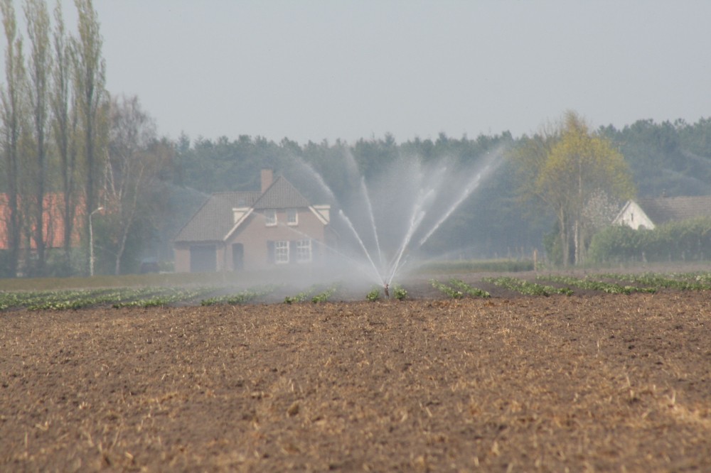 Beregening Bladel landbouw.jpg