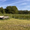 Voedselbos Lage-Mierde