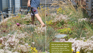 Infoblad afbeelding.png