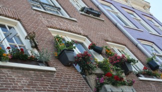 Verticale tuin.JPG