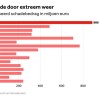 Schade door extreem weer.jpg