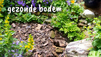 Bodem.png