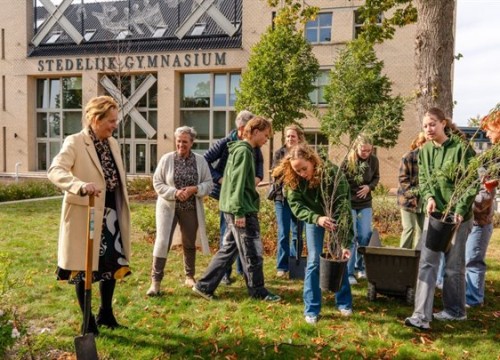 Groen schoolplein