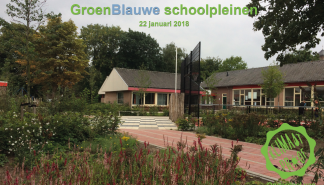 Groenblauwe schoolpleinen.png