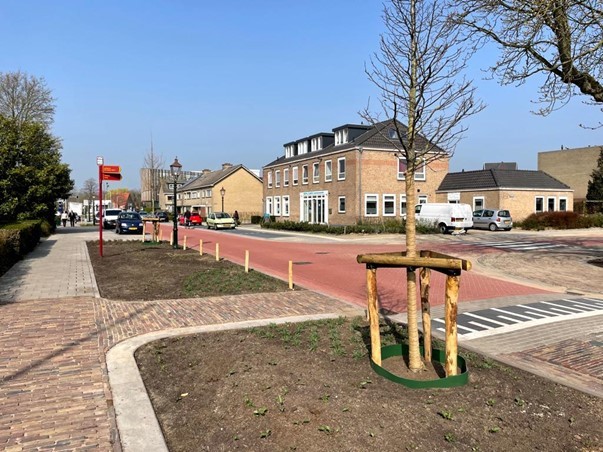Trompetterstraat in Grave met bomen en bloemperken.jpg