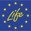 life_ip_logo.jpg