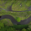 Natuurherstel in beeld