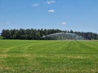 sproeien-grasland-stichting-cas-2025-1.jpg