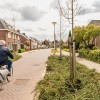 Groene buurt (natuurladder)