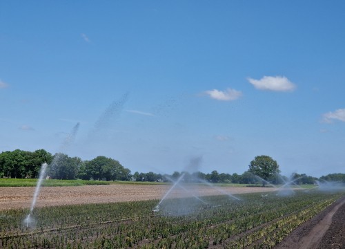 Sproeien boomkwekerij (Stichting CAS, 2025).jpg