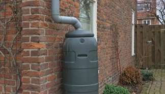 Regenton (1) - foto.jpg