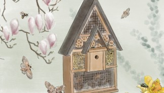 Insectenhotel - illustratie.jpg