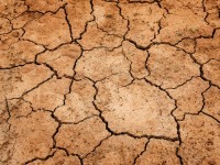Droogte aarde.jpg
