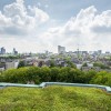 Groen dak Rotterdam.jpg